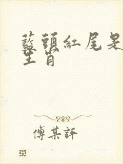 蓝头红尾是什么生肖