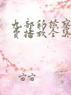 九部的检察官免费播放全集