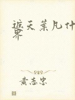 遮天叶凡什么境界