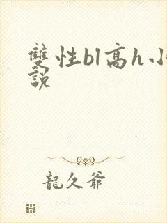 双性bl高h小说