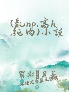 (乱np,高h,纯肉)小说