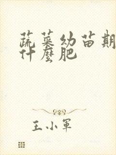 蔬菜幼苗期应施什么肥