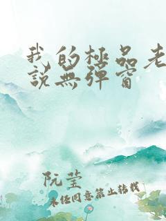 我的极品老婆小说无弹窗