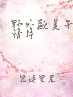 野外欧美午夜激情片
