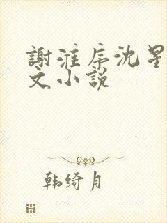 谢淮序沈星窈全文小说