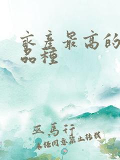 亩产最高的辣椒品种