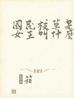 国民校草是女生女主叫什么