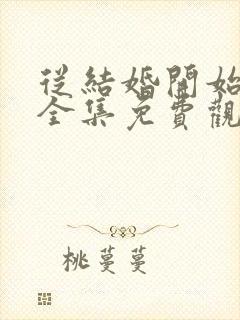 从结婚开始恋爱全集免费观看电视剧