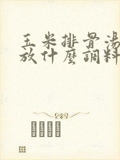 玉米排骨汤里面放什么调料