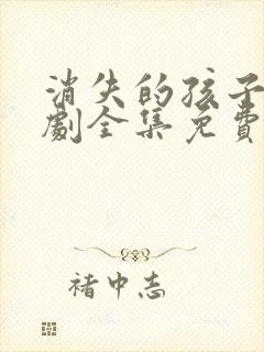 消失的孩子电视剧全集免费观看完整版