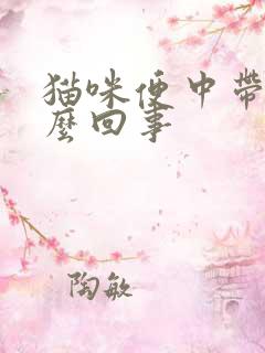 猫咪便中带血怎么回事