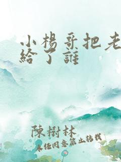 小杨哥把老婆送给了谁