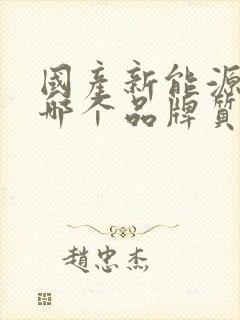 国产新能源汽车哪个品牌质量好