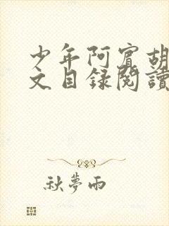 少年阿宾胡太全文目录阅读在线