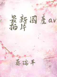 最新国产av自拍片