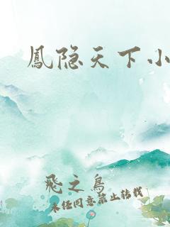 凤隐天下小说