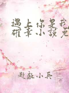 遇上你是我的小确幸小说免费阅读