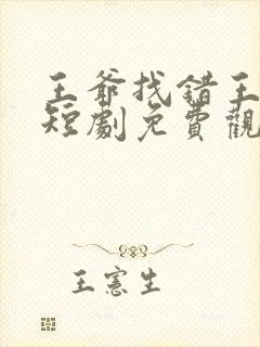 王爷找错王妃了短剧免费观看