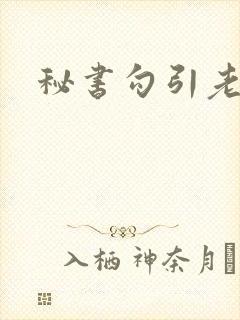 秘书勾引老总