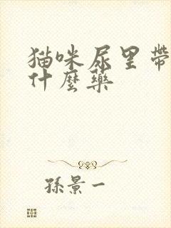 猫咪尿里带血吃什么药