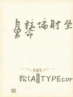月柱偏财坐正官男命