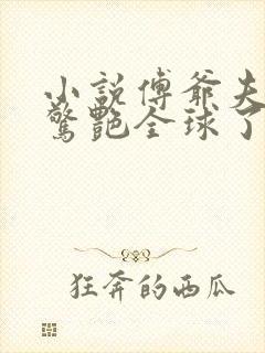 小说傅爷夫人又惊艳全球了免费