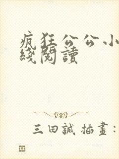 疯狂公公小说在线阅读