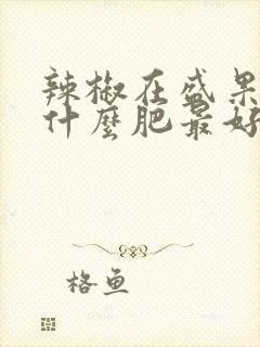 辣椒在盛果期用什么肥最好