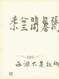 老公明目张胆跟小三同居我该怎么办
