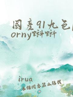 国产91九色porny蝌蚪