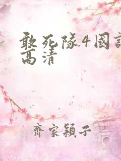 敢死队4国语版高清