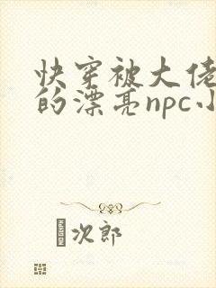 快穿被大佬觊觎的漂亮npc小说阅读