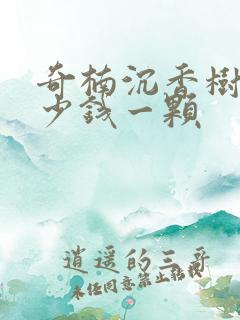 奇楠沉香树苗多少钱一颗