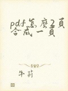 pdf怎么2页合成一页