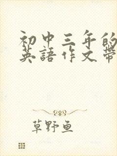 初中三年的变化英语作文带翻译