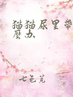 猫猫尿里带血怎么办