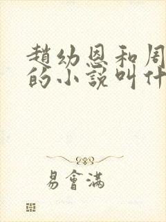 赵幼恩和周京叙的小说叫什么名字