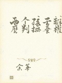 两个孩子离婚怎么判抚养权