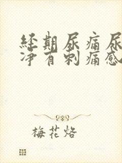 经期尿痛尿不干净有刺痛感