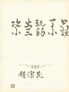 攻出轨了只爱男小三的小说