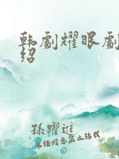 韩剧耀眼剧情介绍
