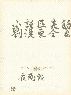 小说匹夫的逆袭刘汉东全篇