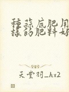 种蒜底肥用什么样的肥料好