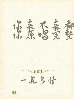 你来不来都在等你原唱完整版