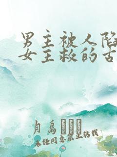 男主被人陷害被女主救的古言