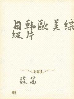 日韩欧美综合一级片