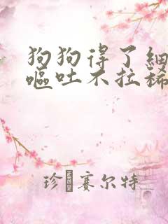 狗狗得了细小只呕吐不拉稀