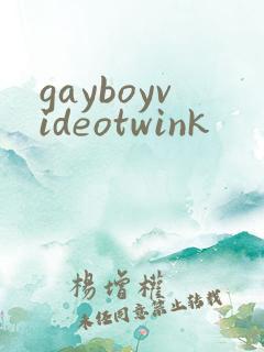 gayboyvideotwink