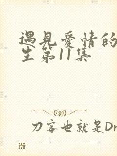 遇见爱情的利先生第11集