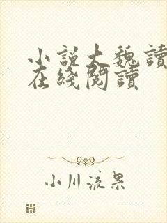 小说大魏读书人在线阅读